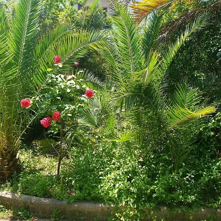 Quiet House Garden Naples-pompei-sorrento Trecase
