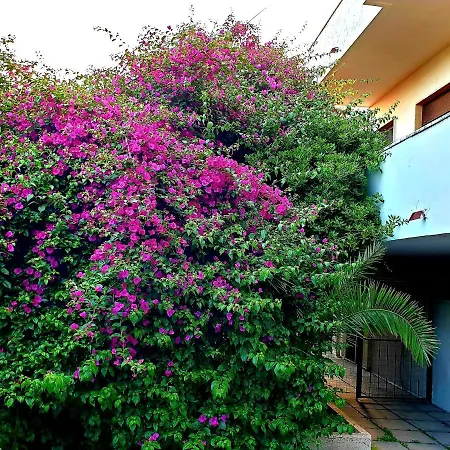 Quiet House Garden Naples-pompei-sorrento Trecase