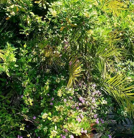 Quiet House Garden Naples-pompei-sorrento Nyaraló Trecase