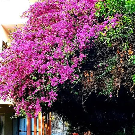 Holiday home Quiet House Garden Naples-pompei-sorrento *